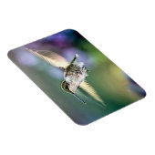 Hummingbird Flying Magnet (Rechte Seite)