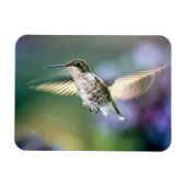 Hummingbird Flying Magnet (Horizontal)