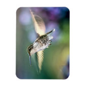 Hummingbird Flying Magnet (Vertikal)