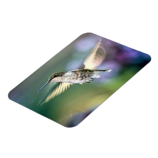 Hummingbird Flying Magnet (Linke Seite)