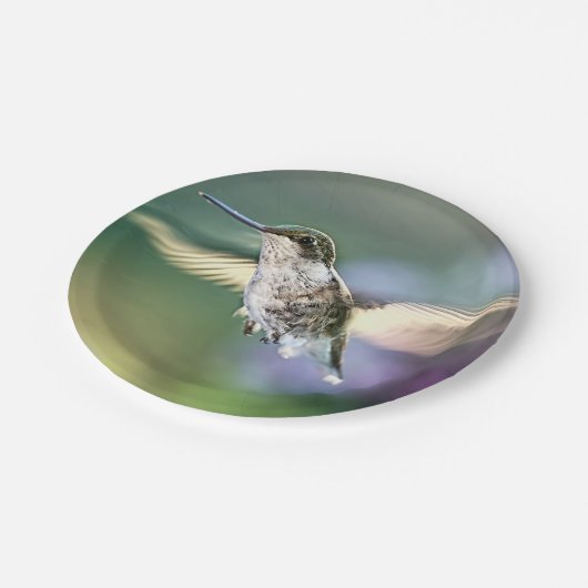 Hummingbird Flying Pappteller (Schrägansicht)