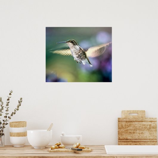 Hummingbird Flying Poster (Küche)