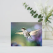 Hummingbird Flying Postkarte (Stehend Vorderseite)