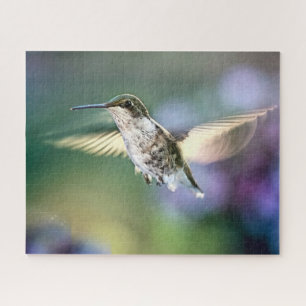 Hummingbird Flying Puzzle