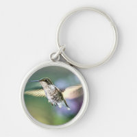 Hummingbird Flying