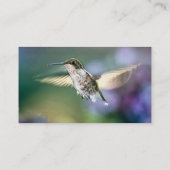 Hummingbird Flying Visitenkarte (Rückseite)