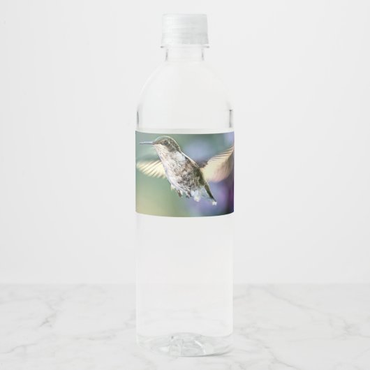 Hummingbird Flying Wasserflaschenetikett (Vorderseite)