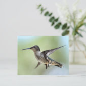 Hummingbird Foto Postcard Postkarte (Stehend Vorderseite)