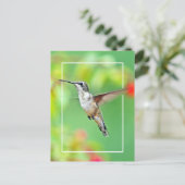 Hummingbird Fotograf Postkarte (Stehend Vorderseite)