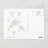 Hummingbird Fotograf Postkarte (Rückseite)