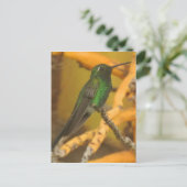 Hummingbird Fotografie Postkarte (Stehend Vorderseite)