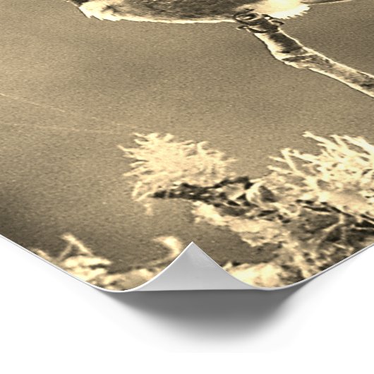 Hummingbird Fotografie Sepia Wall Dekoration Print (Ecke)