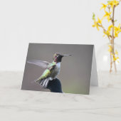 Hummingbird Framework Art Card Karte (Gelbe Blume)
