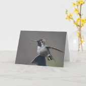 Hummingbird Framework Art Card Karte (Gelbe Blume)
