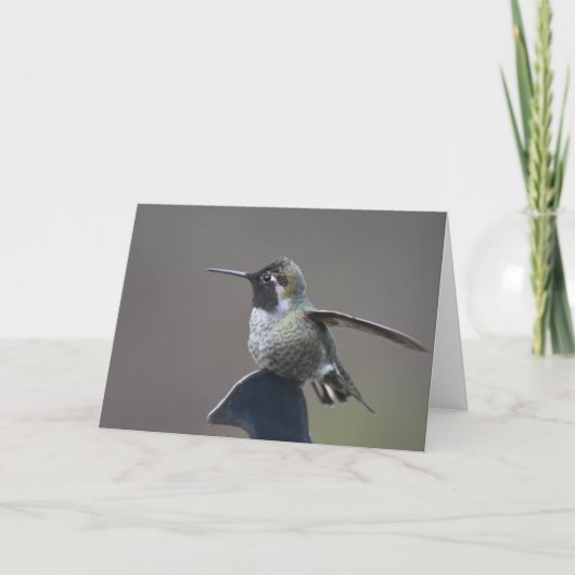 Hummingbird Framework Art Card Karte (Vorderseite)