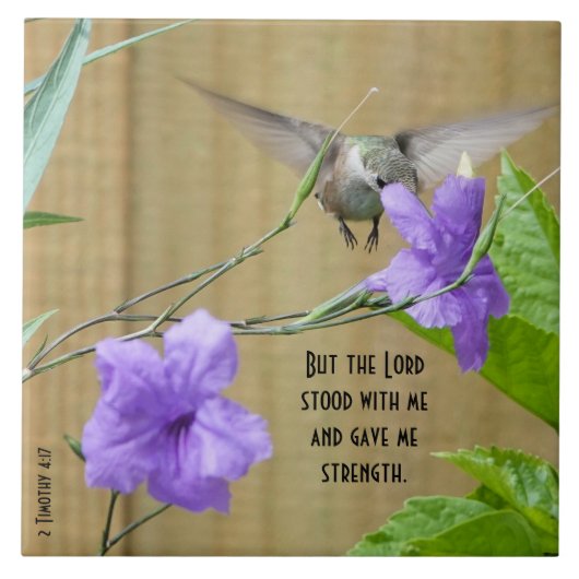 Hummingbird fütternd auf Blume mit Scripting Verse Fliese (Vorderseite)