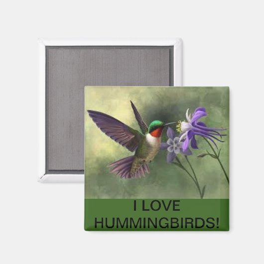 Hummingbird Fütternd auf einer Blume Bloom Magnet (Vorderseite/Rückseite)