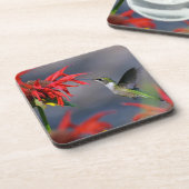 Hummingbird Fütternd Untersetzer Set (Linke Seite)