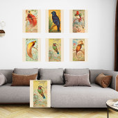 Hummingbird, Galerie Mauer Set 6, 5/6 Poster