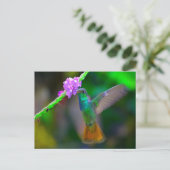 Hummingbird Garden Postkarte (Stehend Vorderseite)