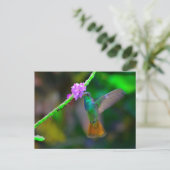 Hummingbird Garden Postkarte (Stehend Vorderseite)