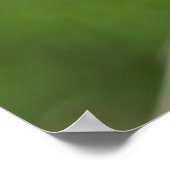 Hummingbird-Gebäude Poster (Ecke)