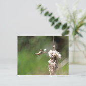 Hummingbird-Gebäude Postkarte (Stehend Vorderseite)