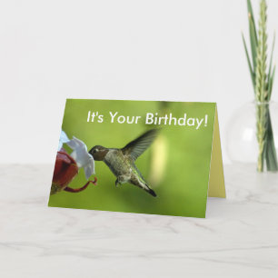 Hummingbird Geburtstag Karte