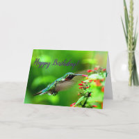 Hummingbird Geburtstag