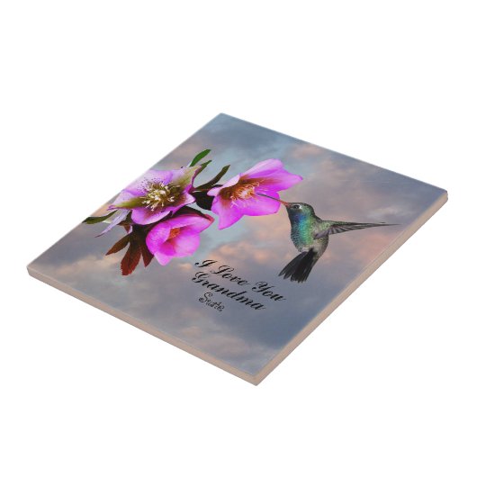 HUMMINGBIRD-GRANDMA FLIESE (Seite)