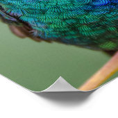 Hummingbird Green Blue Violet Poster (Ecke)