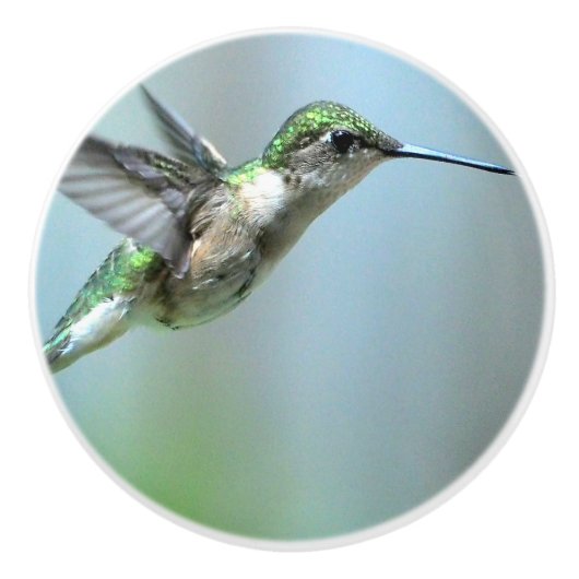 Hummingbird Green Flight Foto Wildlife Keramikknauf (Vorderseite)