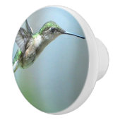Hummingbird Green Flight Foto Wildlife Keramikknauf (Rechts)