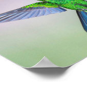 Hummingbird grün und blau poster (Ecke)