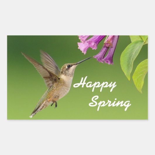 Hummingbird Happy Spring Rechteckiger Aufkleber (Vorderseite)