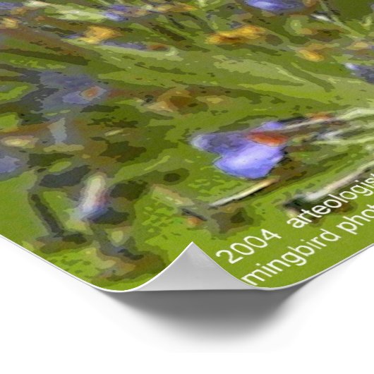 Hummingbird Harmony by Gregory Gallo Poster (Ecke)