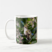 Hummingbird Haven Nature Mug Gift Kaffeetasse (Links)