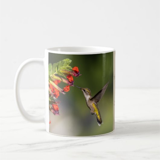 Hummingbird Haven Nature Mug Gift Kaffeetasse (Links)