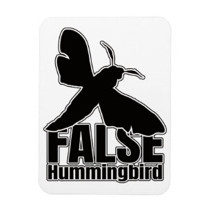 Hummingbird Hawk-Moth Butterfly - Entomologie Geek Magnet
