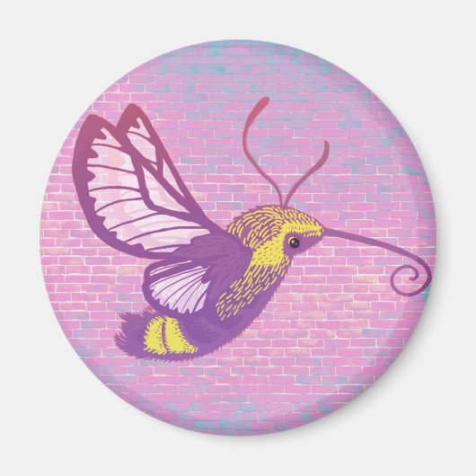 Hummingbird Hawk Moth Magnet (Vorne)