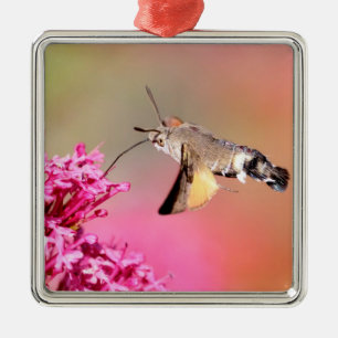 Hummingbird Hawk-Moth-Schmetterling im Flug Ornament Aus Metall