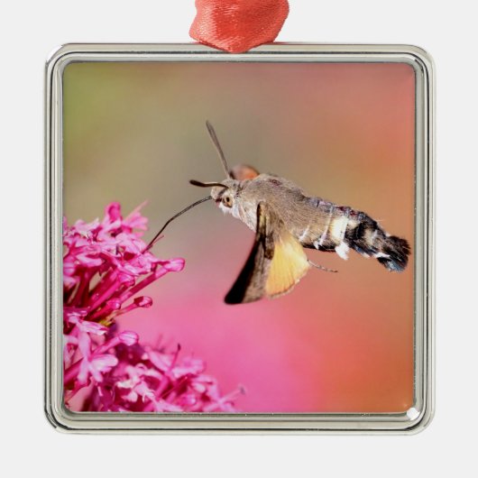 Hummingbird Hawk-Moth-Schmetterling im Flug Ornament Aus Metall (Vorne)