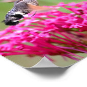 Hummingbird Hawk-Moth-Schmetterling im Flug Poster (Ecke)