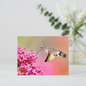 Hummingbird Hawk-Moth-Schmetterling im Flug Postkarte (Stehend Vorderseite)