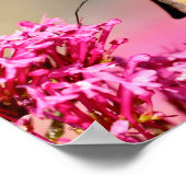 Hummingbird Hawk-Moth-Schmetterling in Flug Postca Poster (Ecke)