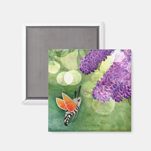 Hummingbird Hawk Moth und Lilacs Magnet (Vorderseite/Rückseite)