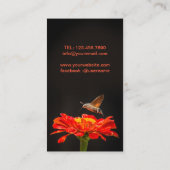 Hummingbird Hawk-moth Visitenkarte (Rückseite)