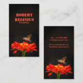 Hummingbird Hawk-moth Visitenkarte (Vorne/Hinten)