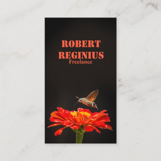 Hummingbird Hawk-moth Visitenkarte (Vorderseite)