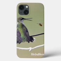 Hummingbird & Honey Bee